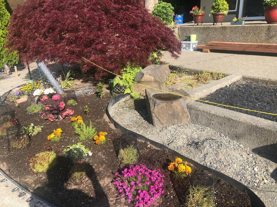 1-Bedroom Seaview Guesthouse On Seattle Luxury Estate With Views Of Olympic Mountains Exterior photo